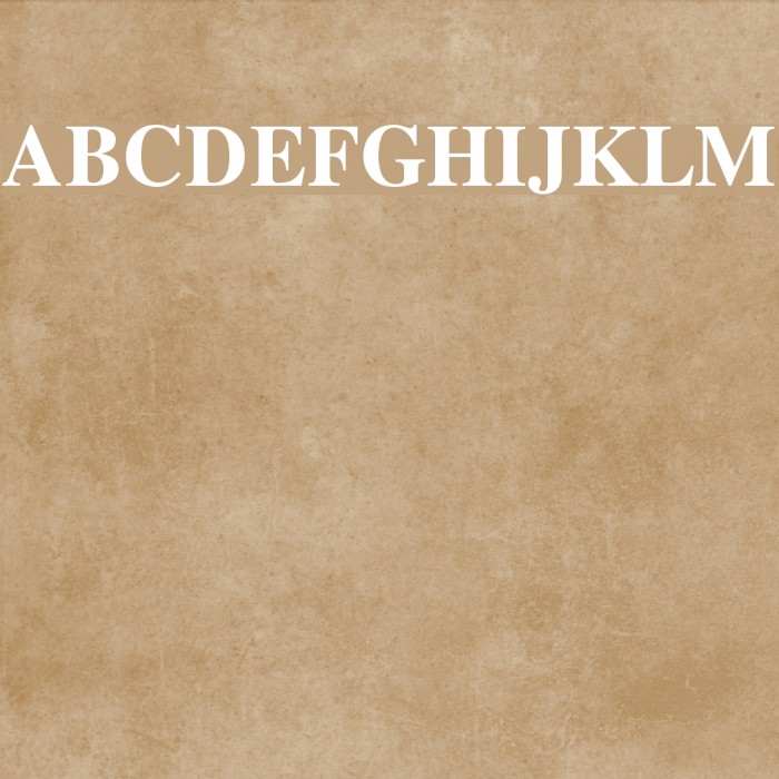 Timok Bold Fonte examples