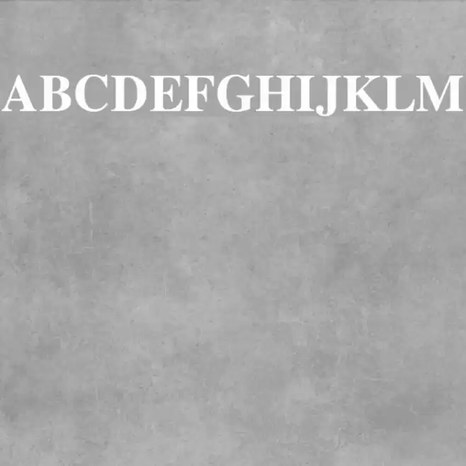 Timok Bold Fonte examples
