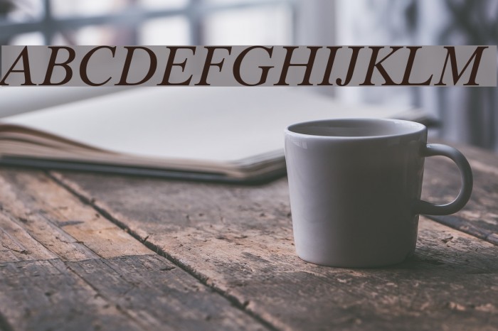 Timok Italic Font examples