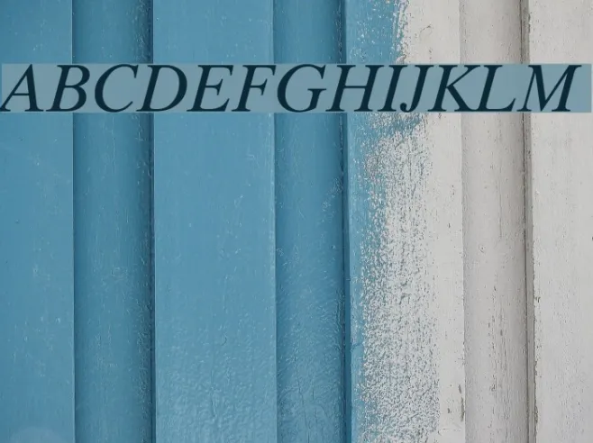 Timok Italic Example 2