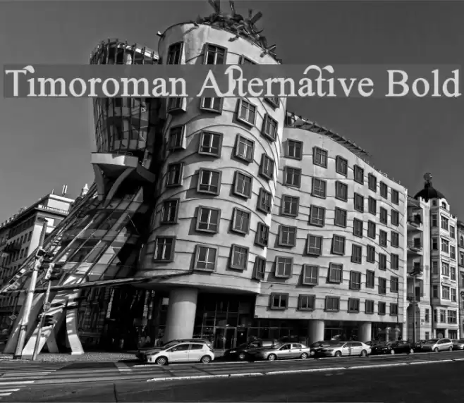 Timoroman Alternative Bold Font examples