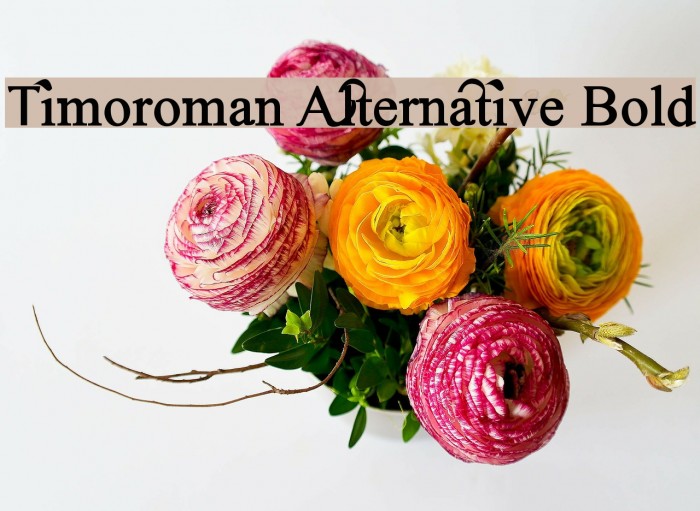 Timoroman Alternative Bold Example 3