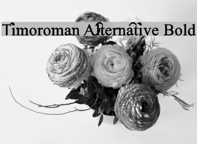 Timoroman Alternative Bold Font examples