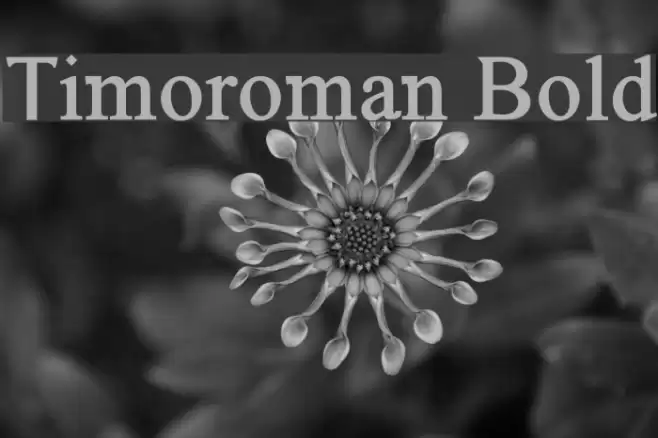 Timoroman Bold Font examples