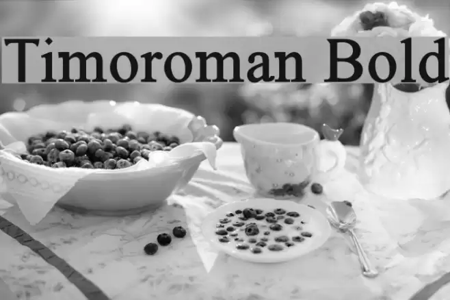 Timoroman Bold Font examples