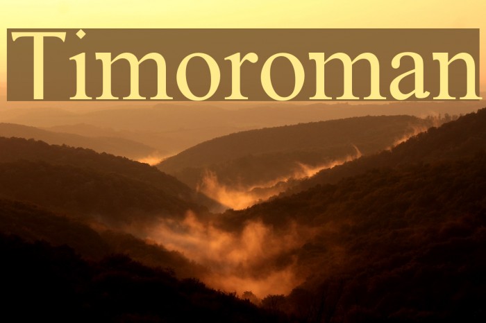 Timoroman Font examples