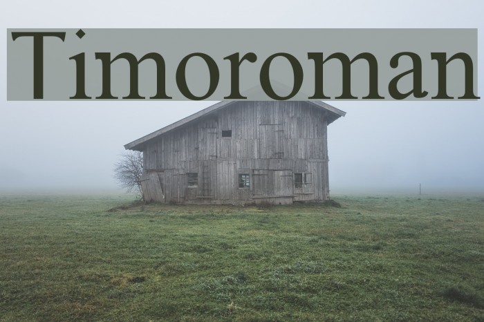 Timoroman Font examples