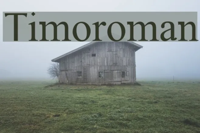 Timoroman Example 2