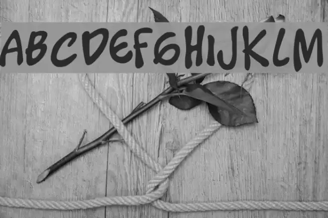 Timotheos Font examples