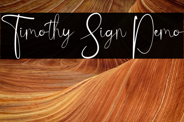 Timothy Sign Demo Example 3