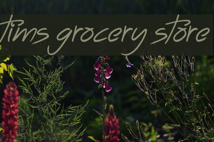 Tims Grocery Store Font examples