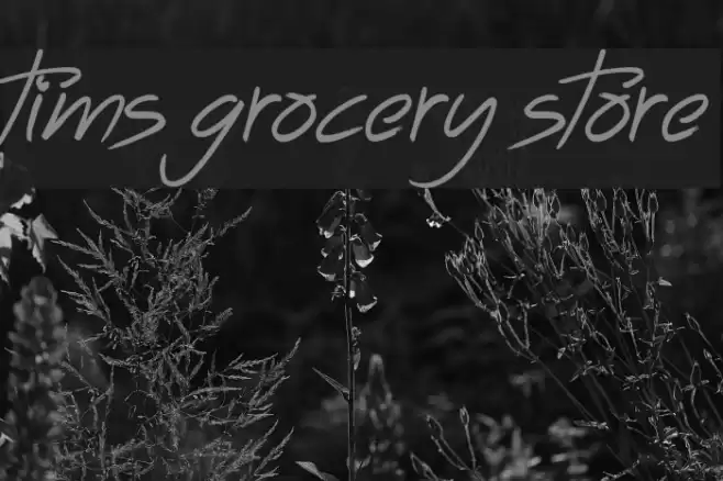 Tims Grocery Store Font examples
