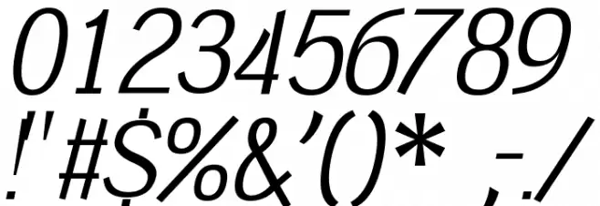 Tin Birdhouse Italic フォント その他の文字