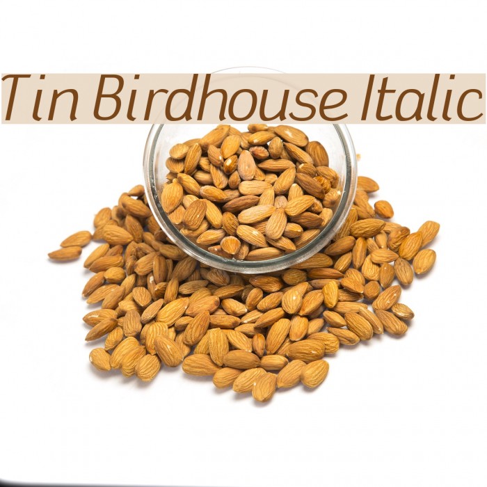 Tin Birdhouse Italic Font examples