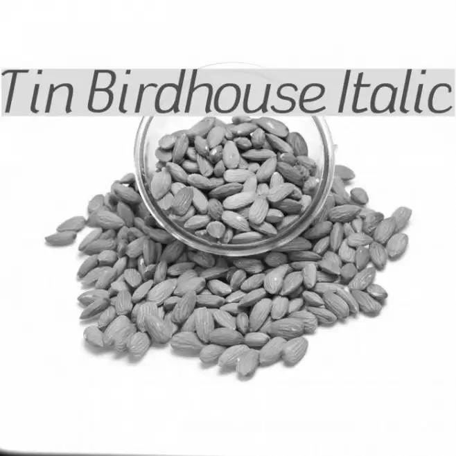 Tin Birdhouse Italic フォント examples