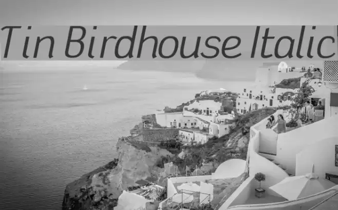 Tin Birdhouse Italic フォント examples