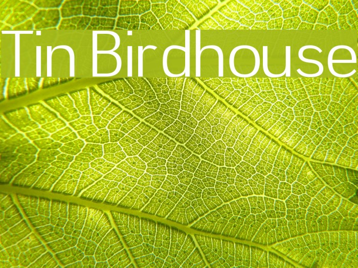 Tin Birdhouse Font examples