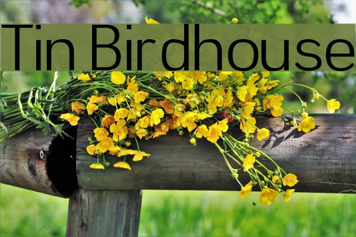 Tin Birdhouse Font examples