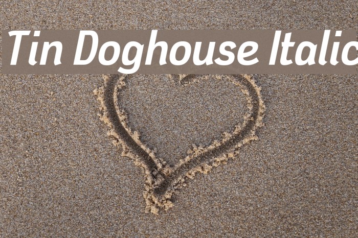 Tin Doghouse Italic Font examples