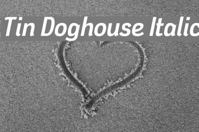 Tin Doghouse Italic Font examples