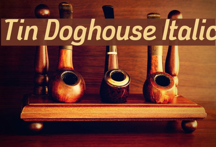 Tin Doghouse Italic Font examples
