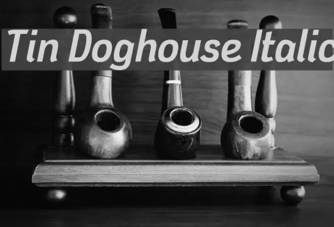 Tin Doghouse Italic Font examples
