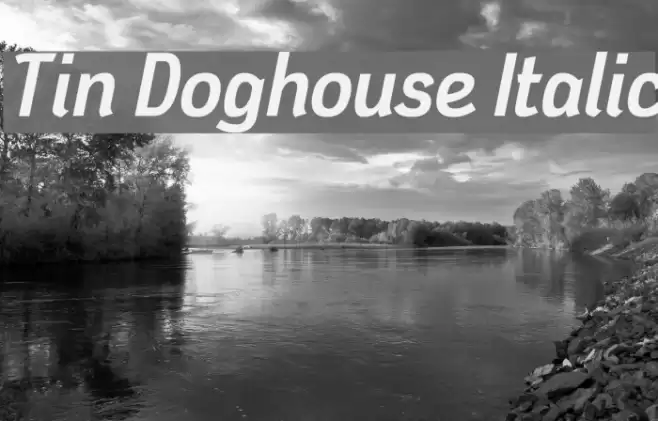 Tin Doghouse Italic Font examples