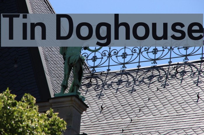 Tin Doghouse Font examples