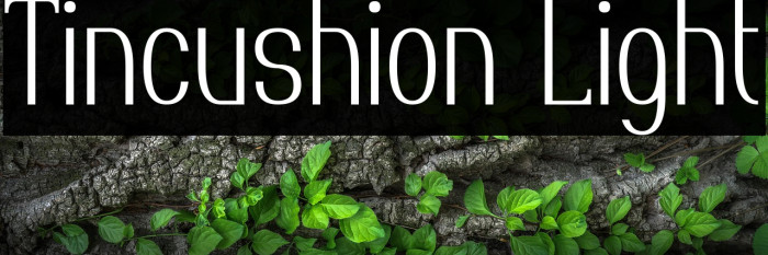 Tincushion Light Example 3