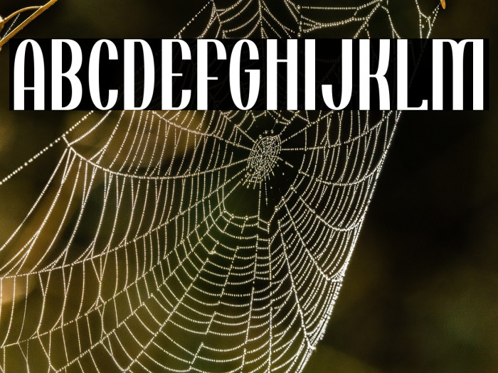 Tincushion Example 3