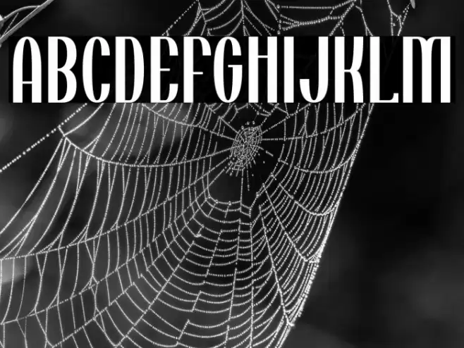 Tincushion Font examples