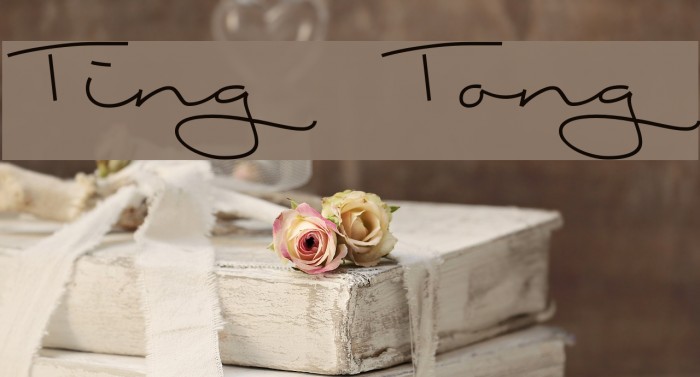 Ting Tong Font examples