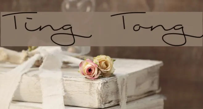 Ting Tong Example 1