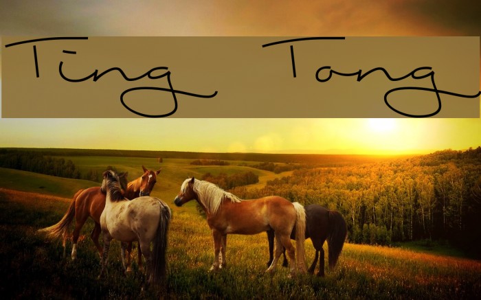 Ting Tong Font examples