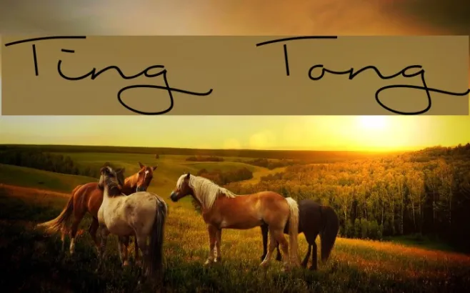 Ting Tong Example 3