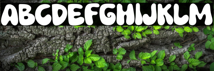 Tingker Kelly Example 2