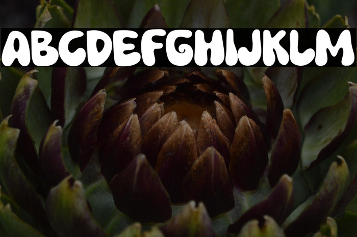 Tingker Kelly Example 3