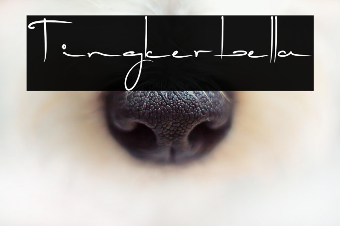 Tingkerbella Example 1