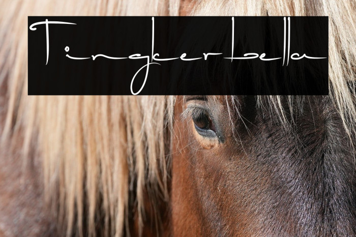 Tingkerbella Example 2