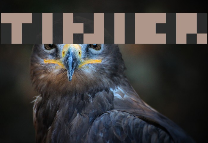 Tinier Font examples