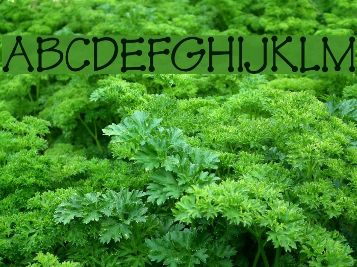 TinkerToy Font examples