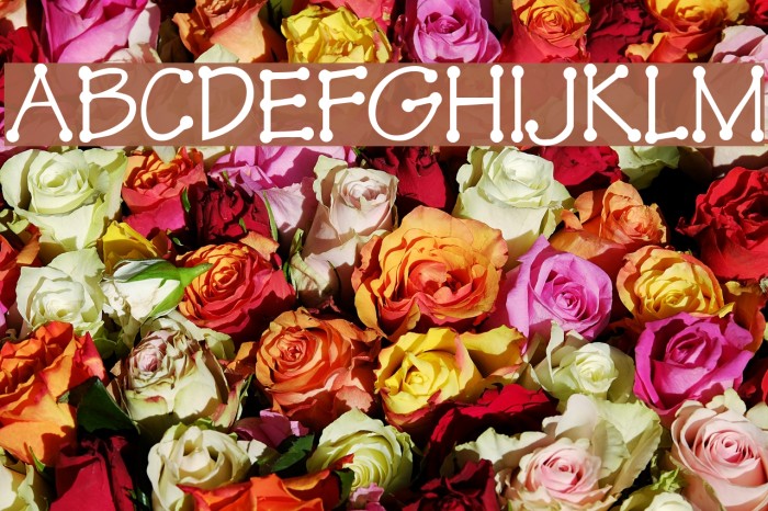 TinkerToy Font examples