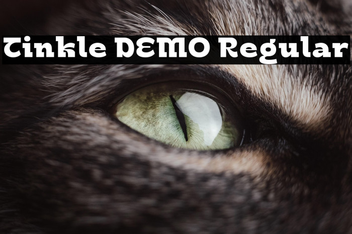 Tinkle DEMO Regular Example 1