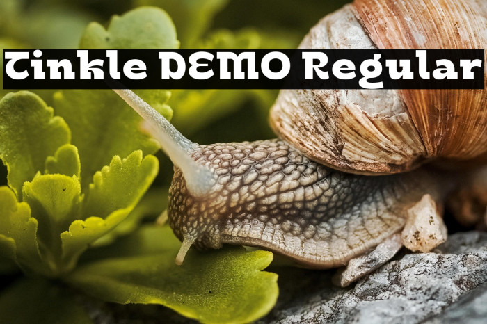 Tinkle DEMO Regular Example 3
