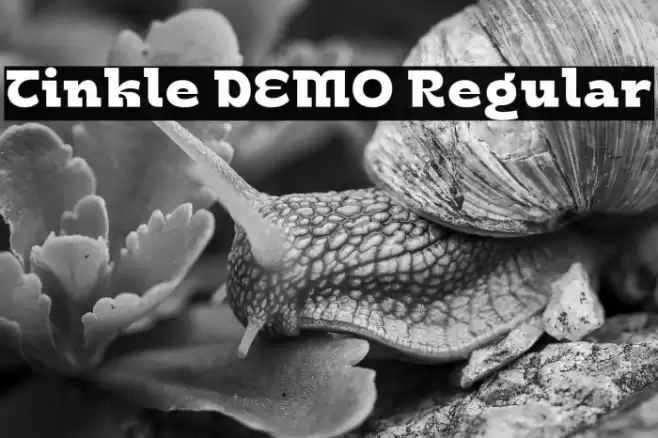 Tinkle DEMO Regular Fonte examples