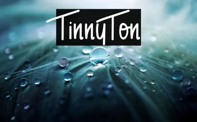 TinnyTon Example 1