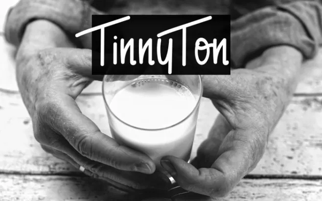 TinnyTon Example 2
