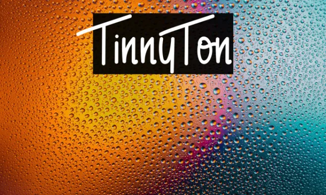 TinnyTon Example 3