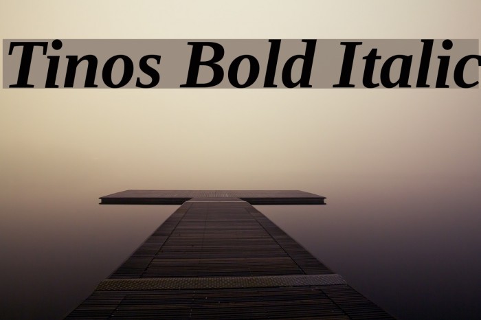 Tinos Bold Italic Font examples