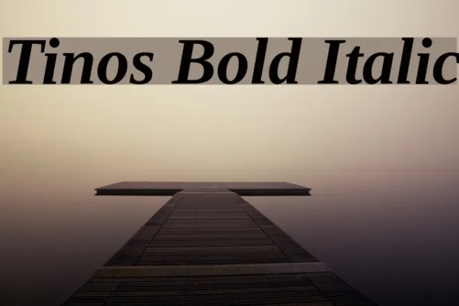 Tinos Bold Italic Example 1